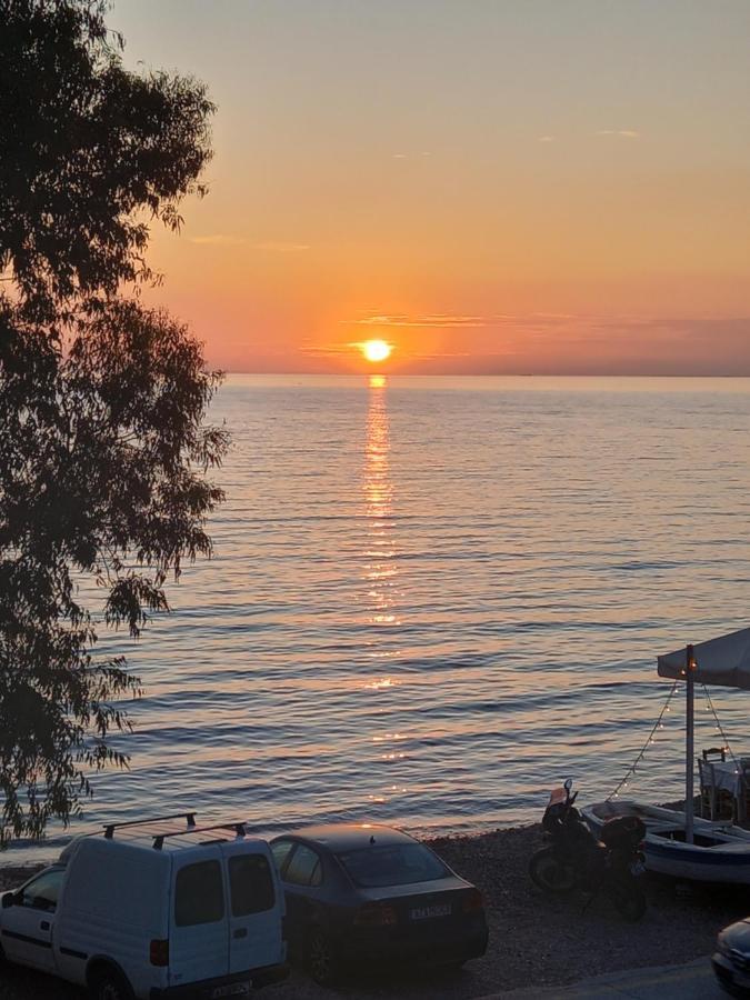 σπίτι δίπλα στην θάλασσα Holiday home